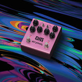 DIG V2 - Dual Digital Delay