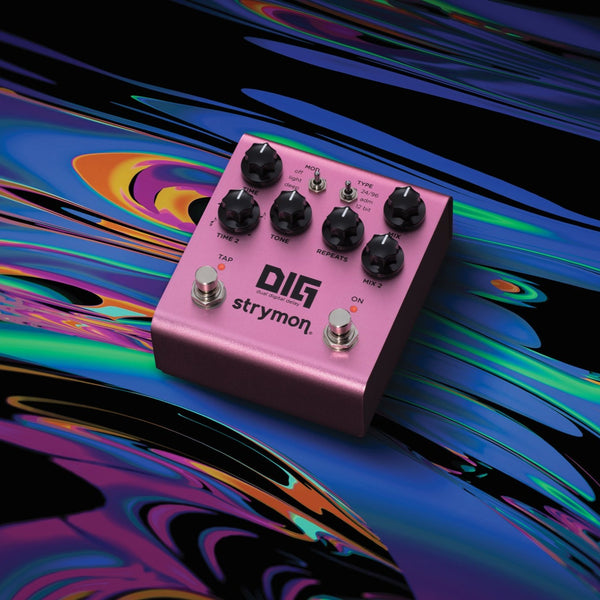 DIG V2 - Dual Digital Delay – Spudmusicmanila